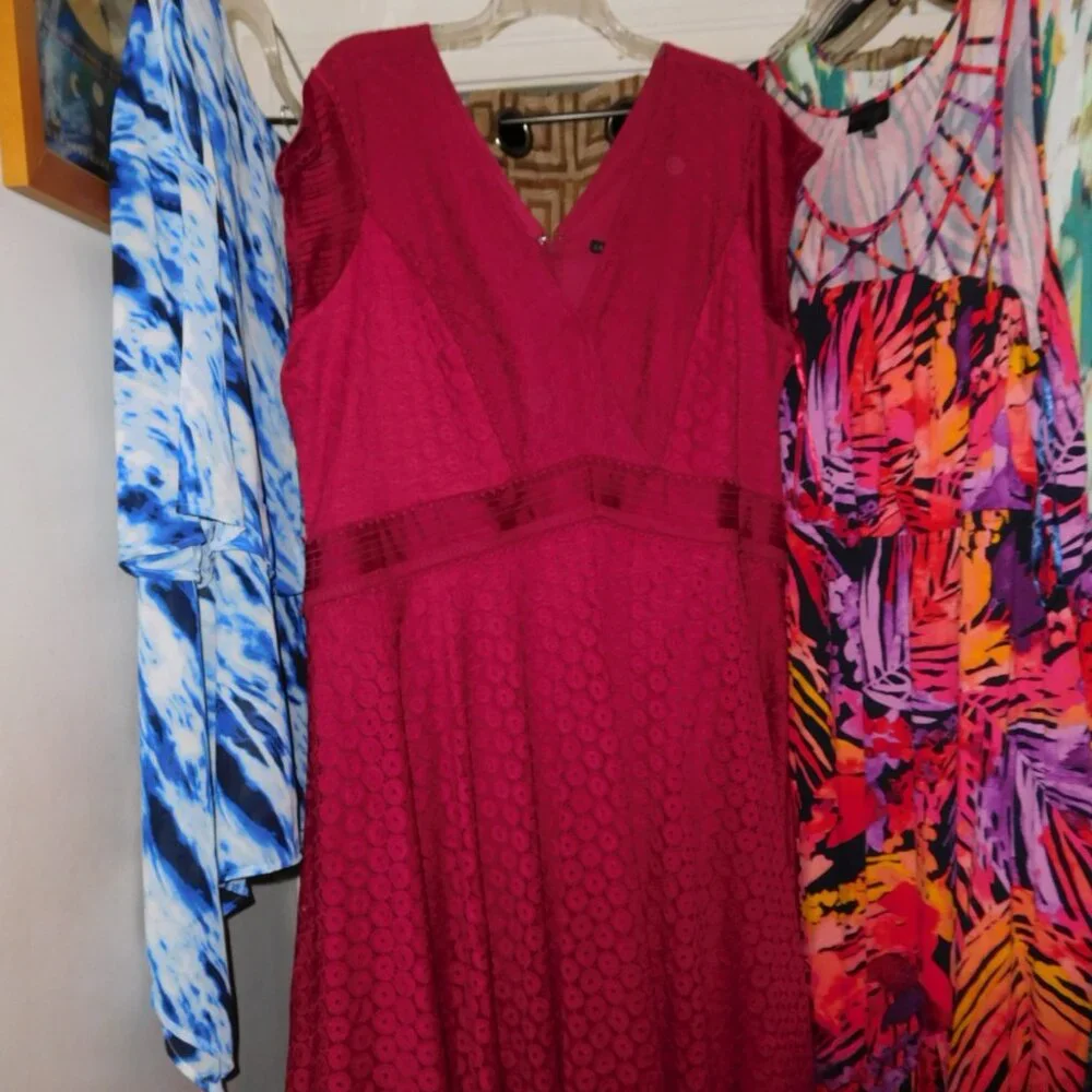 NWT LANE BRYANT 28W red lace short sleeve dress V-NECK - Picture 2 of 9